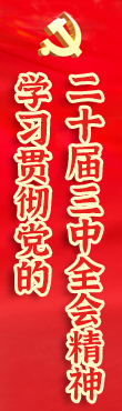 学习贯彻党的二十大精神