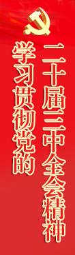 学习贯彻党的二十大精神